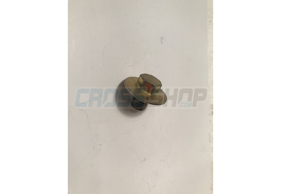 BOLT 8X10 T.10mm(Kich Starter)