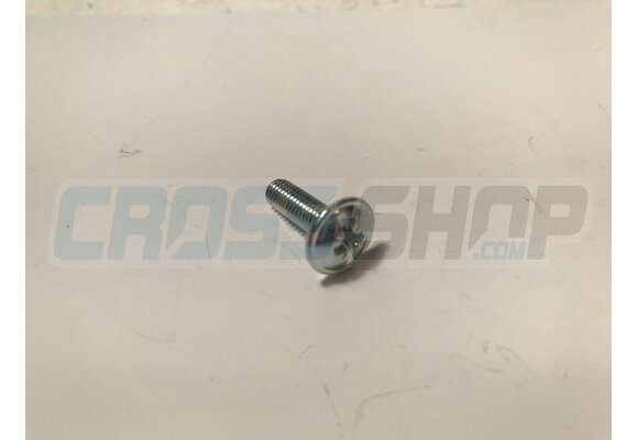 BOLT LARGE 5X15