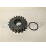 TM Moto PIGNONE C.PRIM. IA.250 Z19 SC.