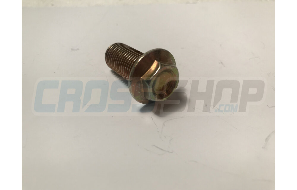 BOLT 12 X 25 FLANGE