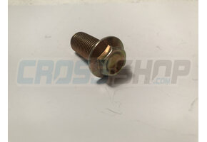 BOLT 12 X 25 FLANGE