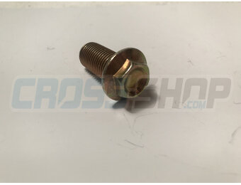BOLT 12 X 25 FLANGE