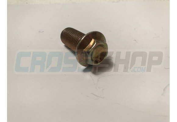 BOLT 12 X 25 FLANGE