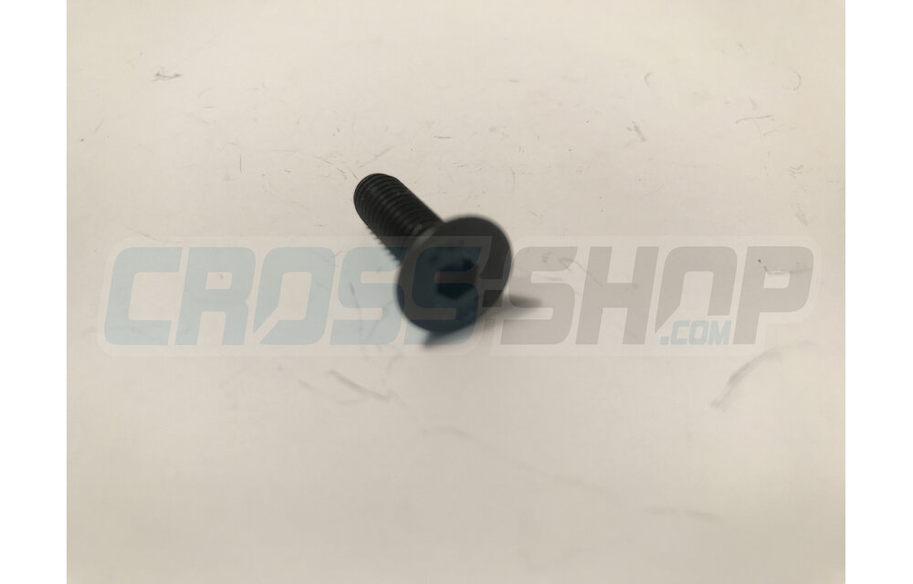 BOLT TSEI 6x20 U.5933 10.9