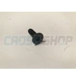 BOLT TSEI 6x20 U.5933 10.9