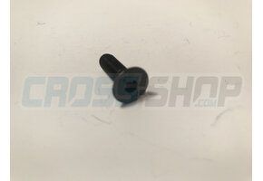 BOLT TSEI 6x20 U.5933 10.9