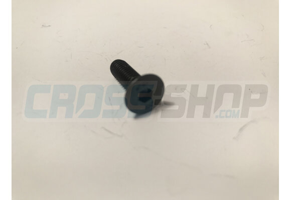 BOLT TSEI 6x20 U.5933 10.9