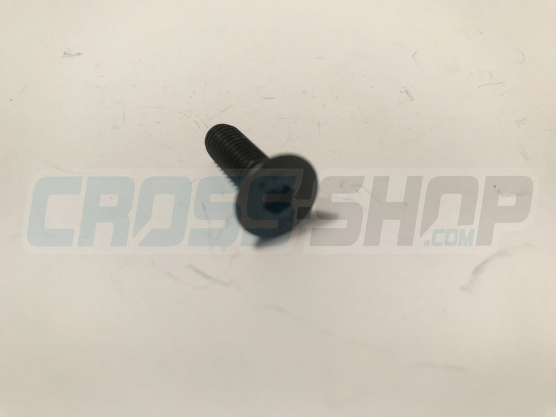 BOLT TSEI 6x20 U.5933 10.9