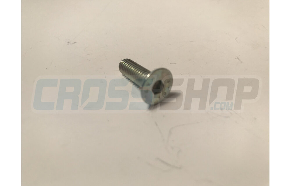 BOLT TSEI 6x20