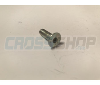 BOLT TSEI 6x20