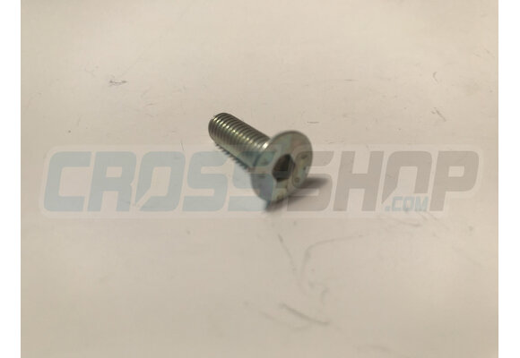 BOLT TSEI 6x20