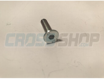 BOLT TSEI 6X25