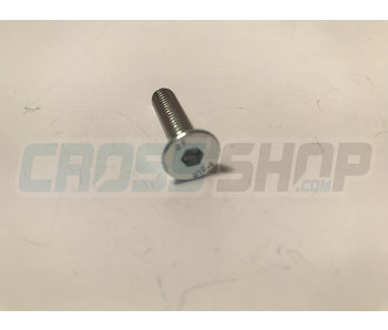 BOLT TSEI 6X25