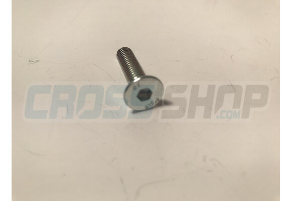 BOLT TSEI 6X25