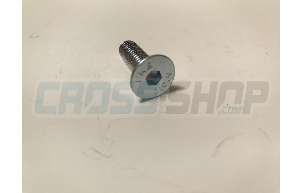 BOLT TSEI 8X25