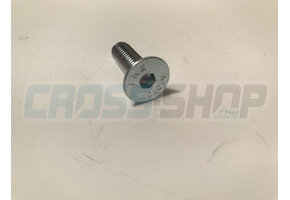 BOLT TSEI 8X25