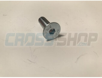 BOLT TSEI 8X25