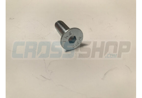 BOLT TSEI 8X25