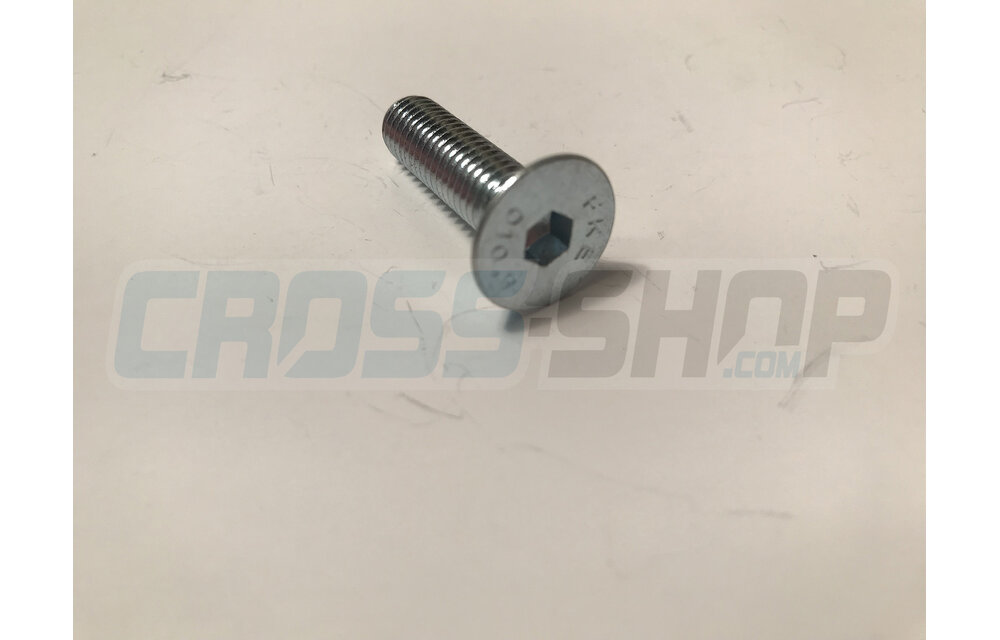 BOLT TSEI 8X30