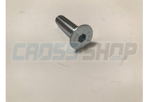 BOLT TSEI 8X30