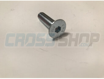 BOLT TSEI 8X30