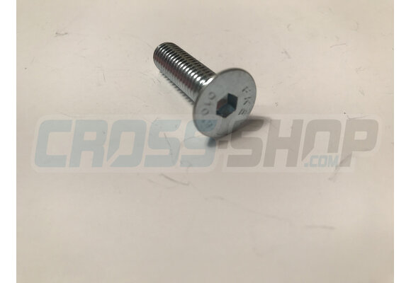 BOLT TSEI 8X30