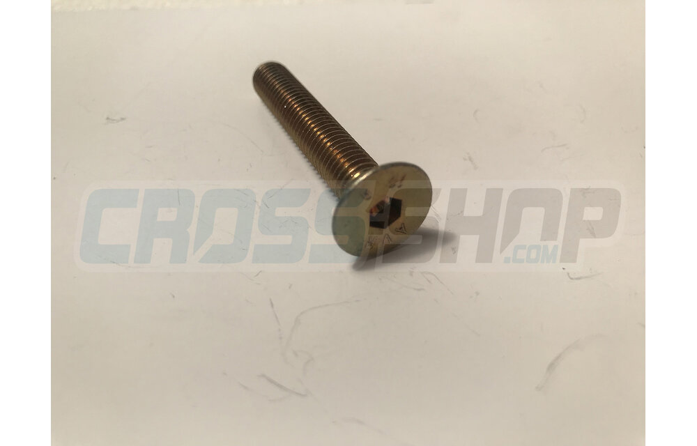BOLT TSEI 8X50
