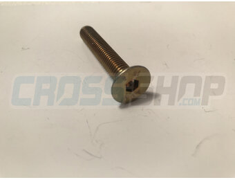 BOLT TSEI 8X50