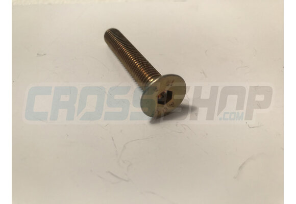 BOLT TSEI 8X50