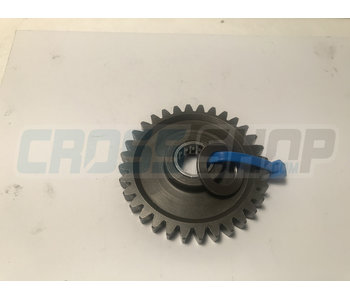 TM Moto GEAR KICK STARTER 125