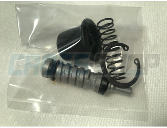 PLATE REAR BRAKE CALIPER 01->