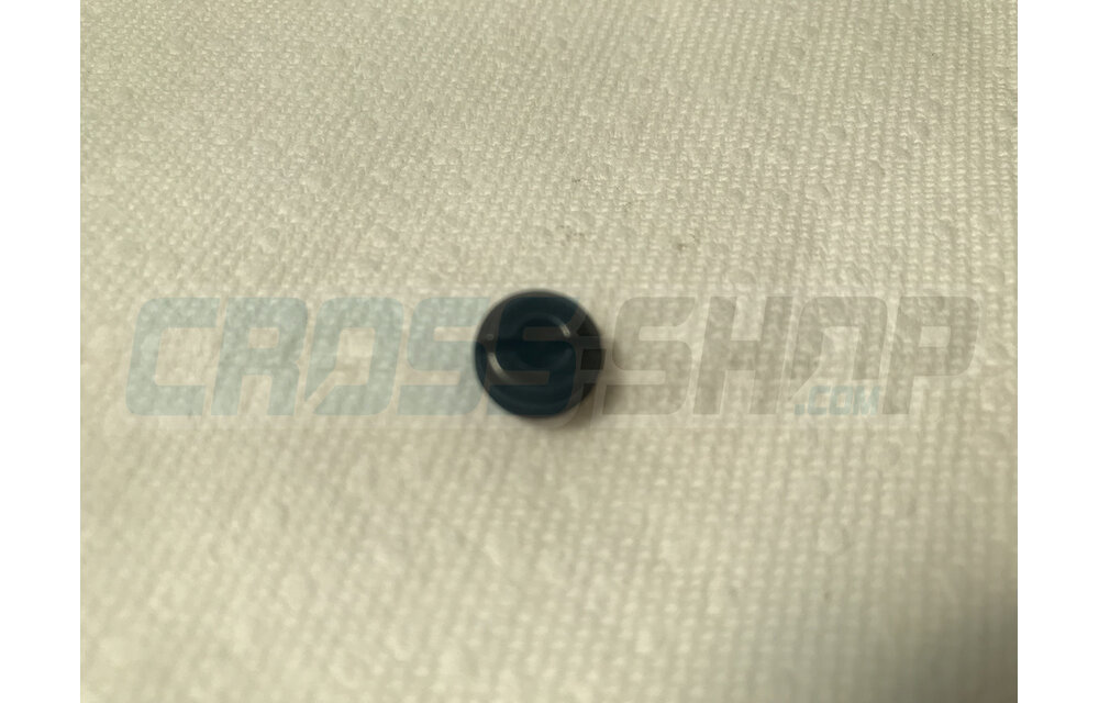 SCREW PLUG FOR BRAKE PIN 01/07