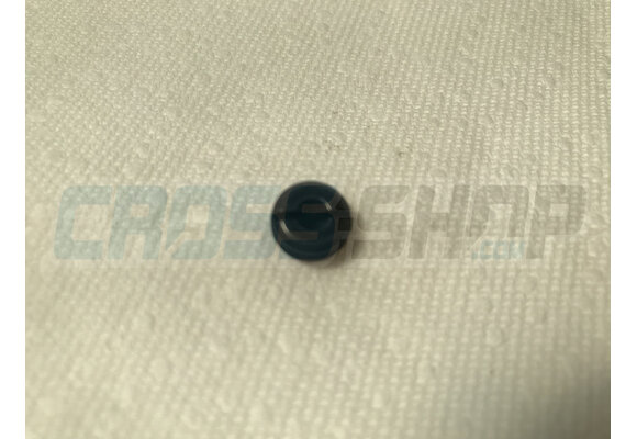 SCREW PLUG FOR BRAKE PIN 01/07