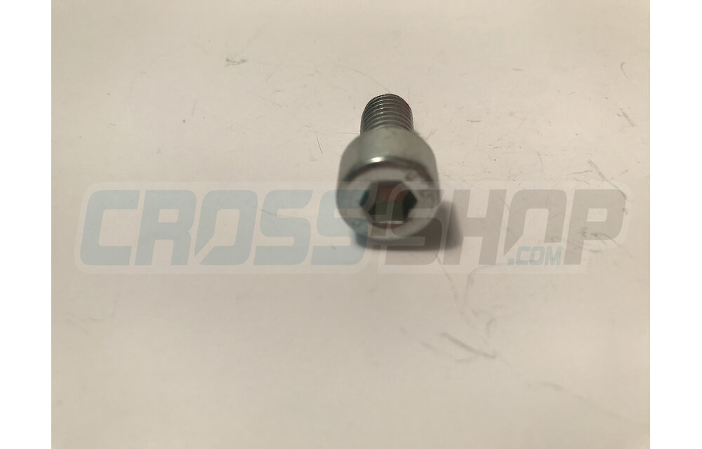 SCREW TCEI 8X16 ZINC.