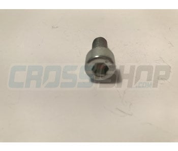 TM Moto SCREW TCEI 8X16 ZINC.