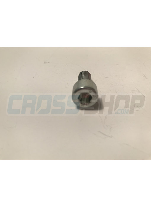 TM Moto SCREW TCEI 8X16 ZINC.