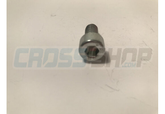 SCREW TCEI 8X16 ZINC.