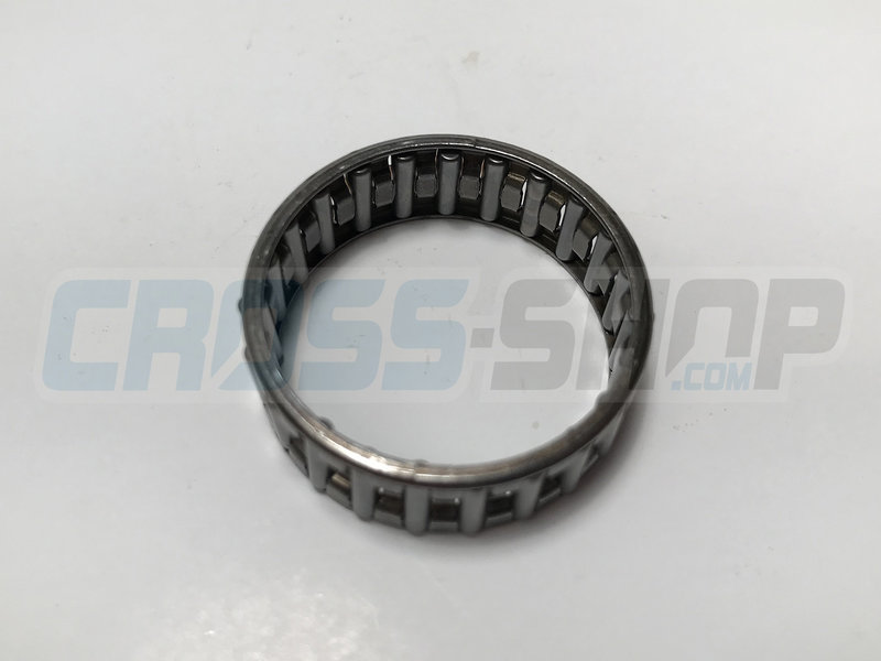 NEEDLE CAGE K 25x29x10 AP250