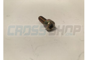 BOLT TCEI 6X16