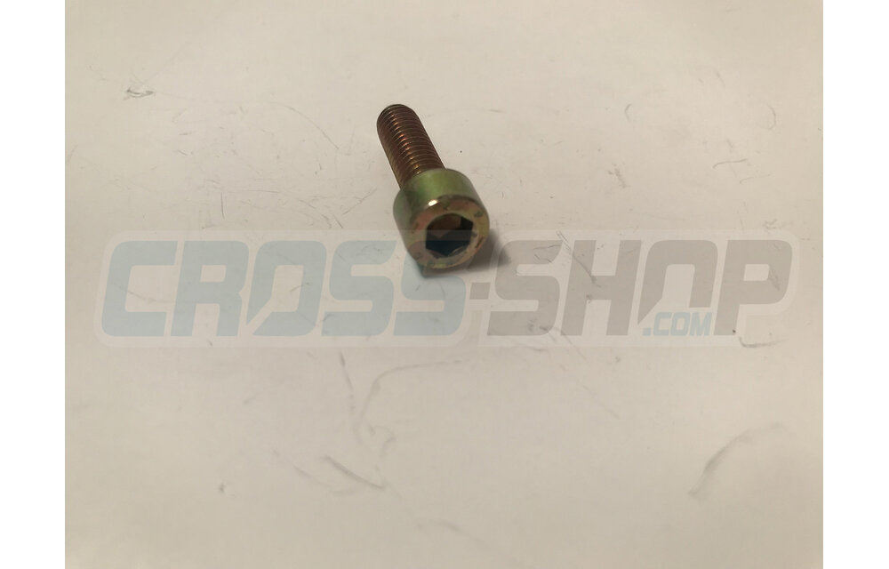 BOLT TCEI 6X20