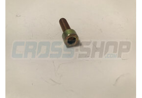 BOLT TCEI 6X20