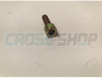 BOLT TCEI 6X20