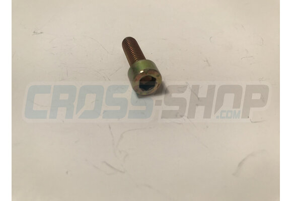 BOLT TCEI 6X20