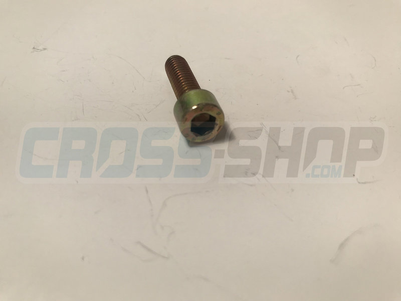 BOLT TCEI 6X20