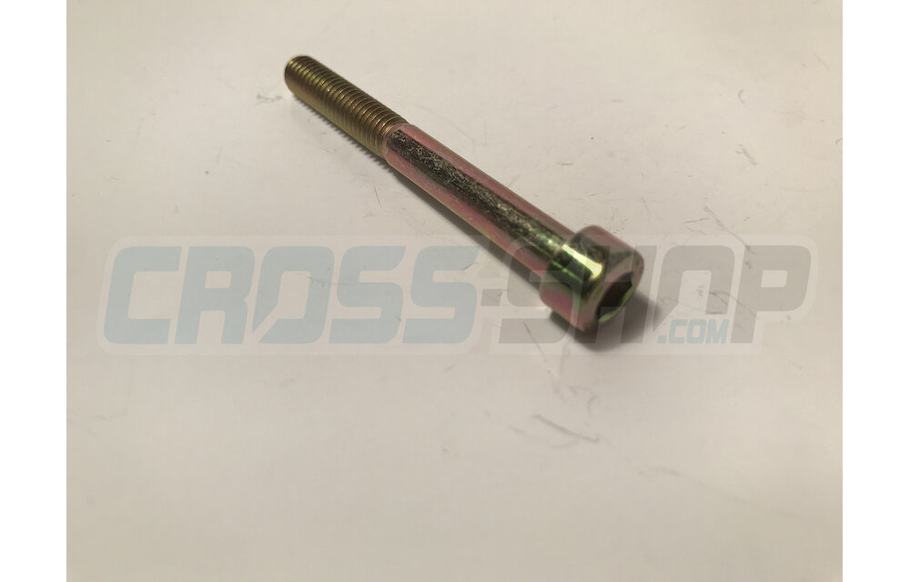 BOLT TCEI 6X55