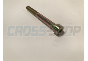 BOLT TCEI 6X55