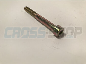 BOLT TCEI 6X55