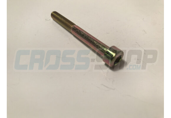 BOLT TCEI 6X55