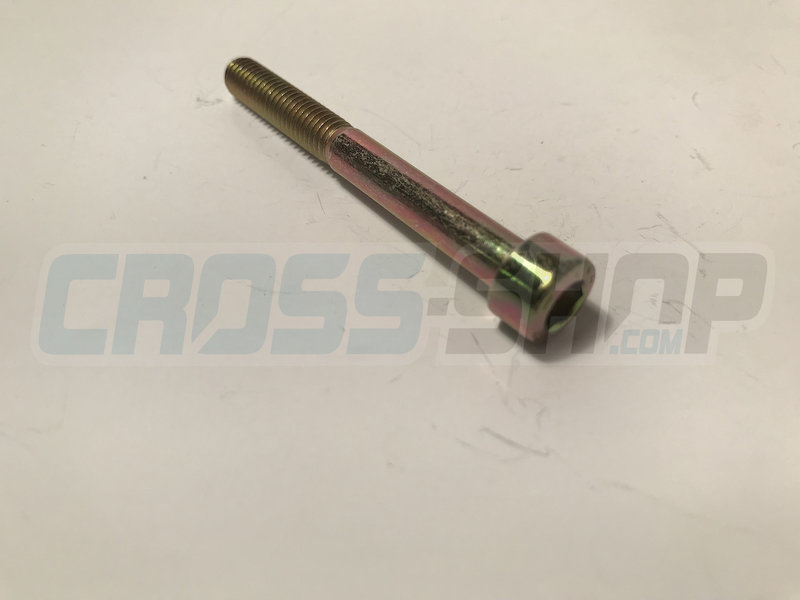 BOLT TCEI 6X55