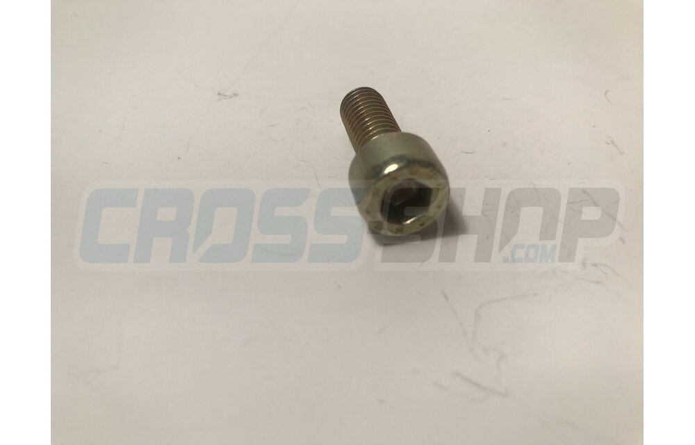 BOLT TCEI 8X20